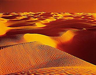 小岛秀夫确认出席夏季游戏节发布会 或带来《死亡搁浅2》终极预告